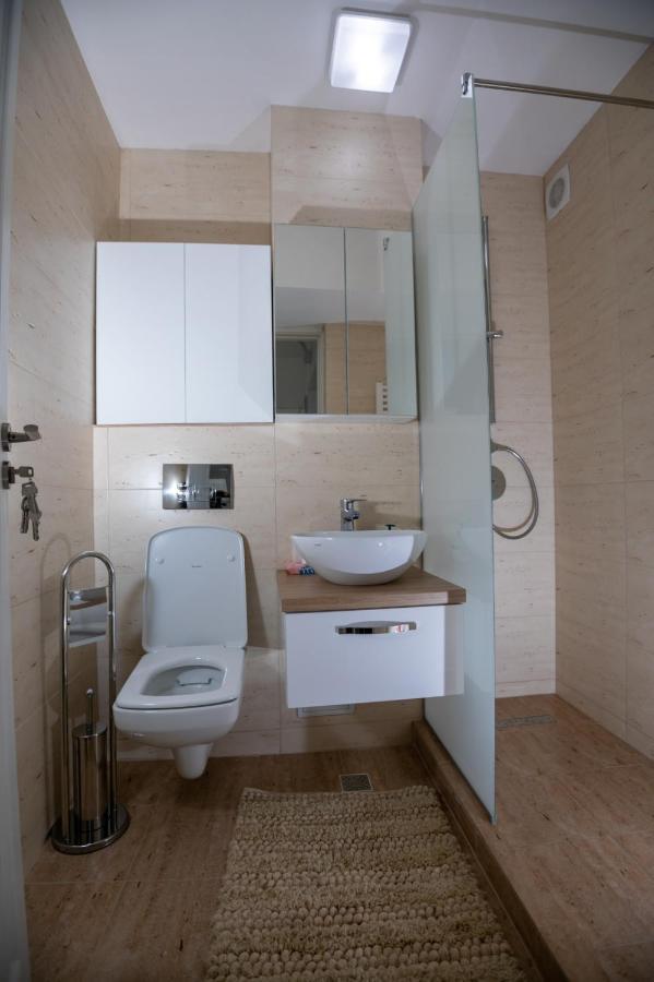 Apartament Central Târgu Jiu المظهر الخارجي الصورة